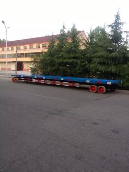 新款拖車